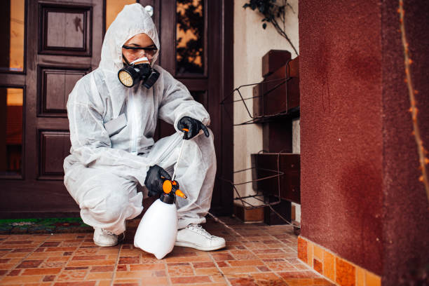 Reliable Ant Control contractor in Plaquemine, LA by Nex Pest Control